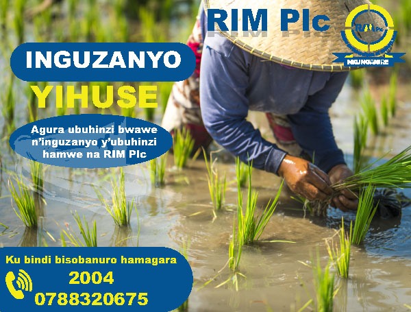 RIM Plc Slide 6