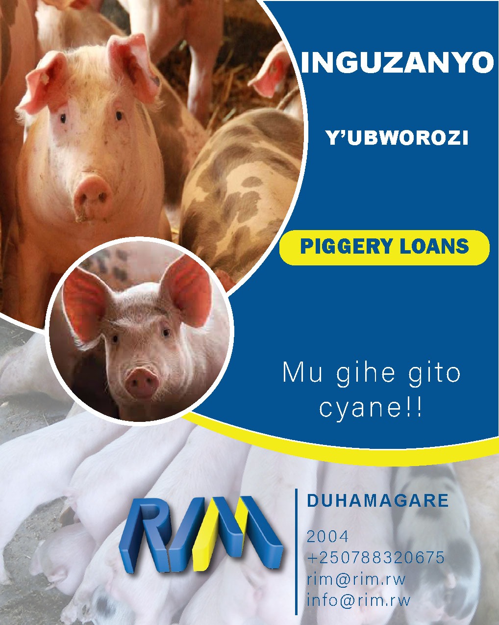 RIM Plc Slide 7